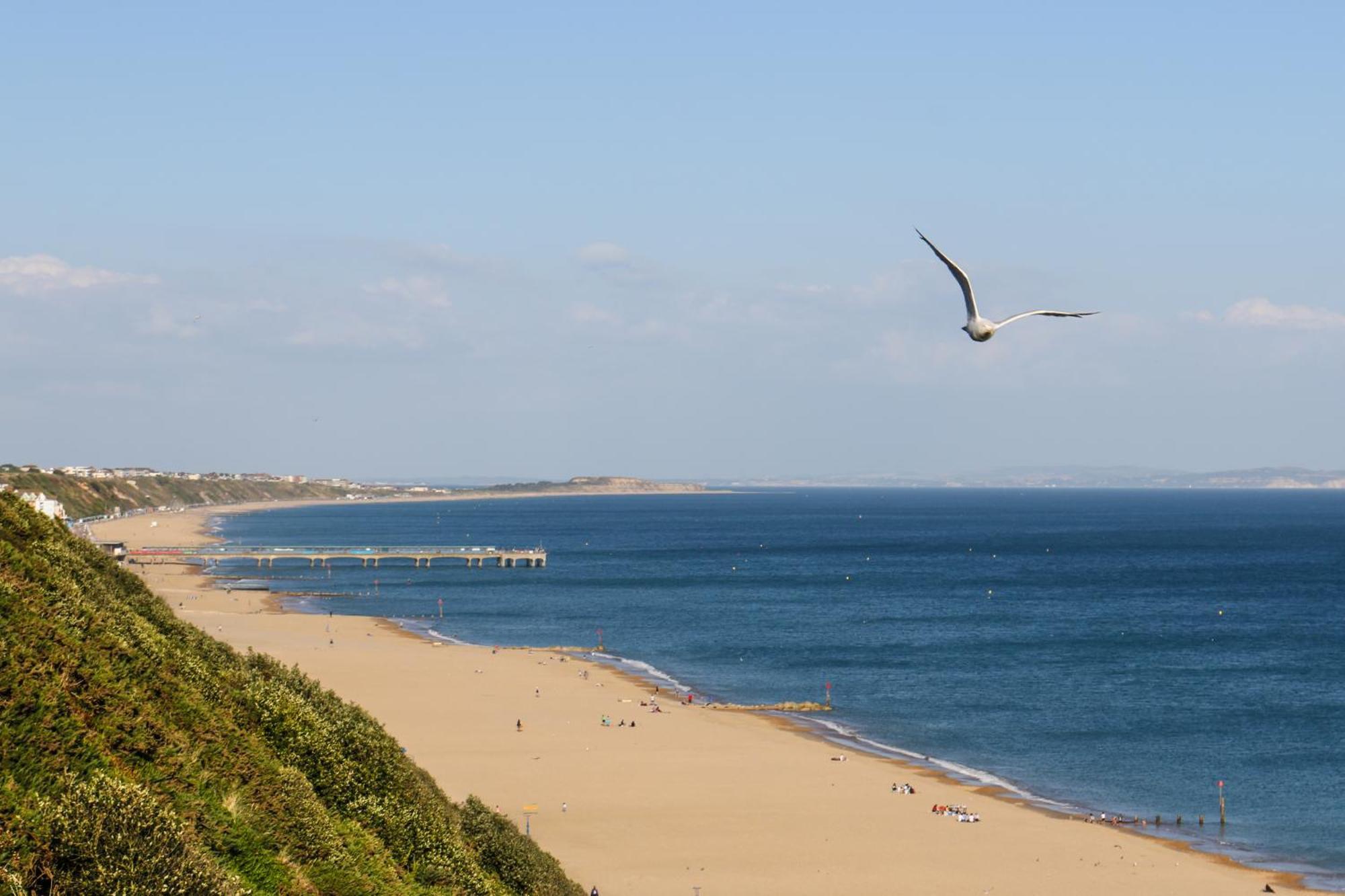 Modern Town Centre Flat - Free Shared Parking, King Size Bed, 5 Minutes Walk To Beach Bournemouth Exterior photo